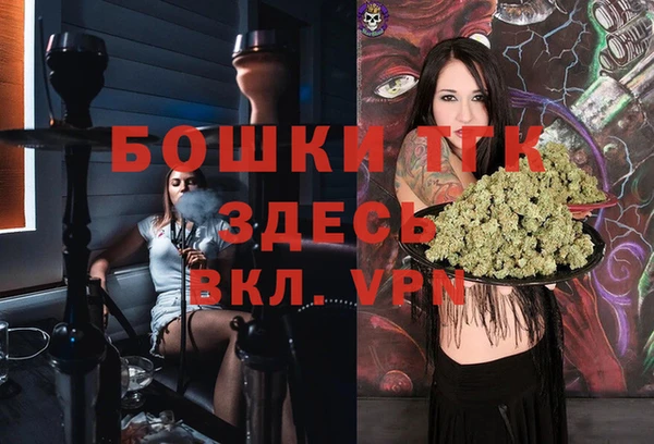 стаф Абинск