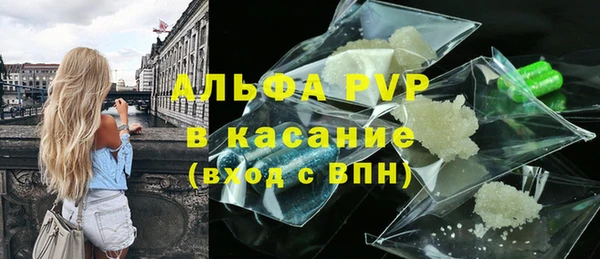 стаф Абинск