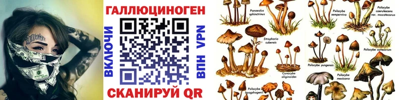 где купить наркотик  Исилькуль  Галлюциногенные грибы Cubensis 